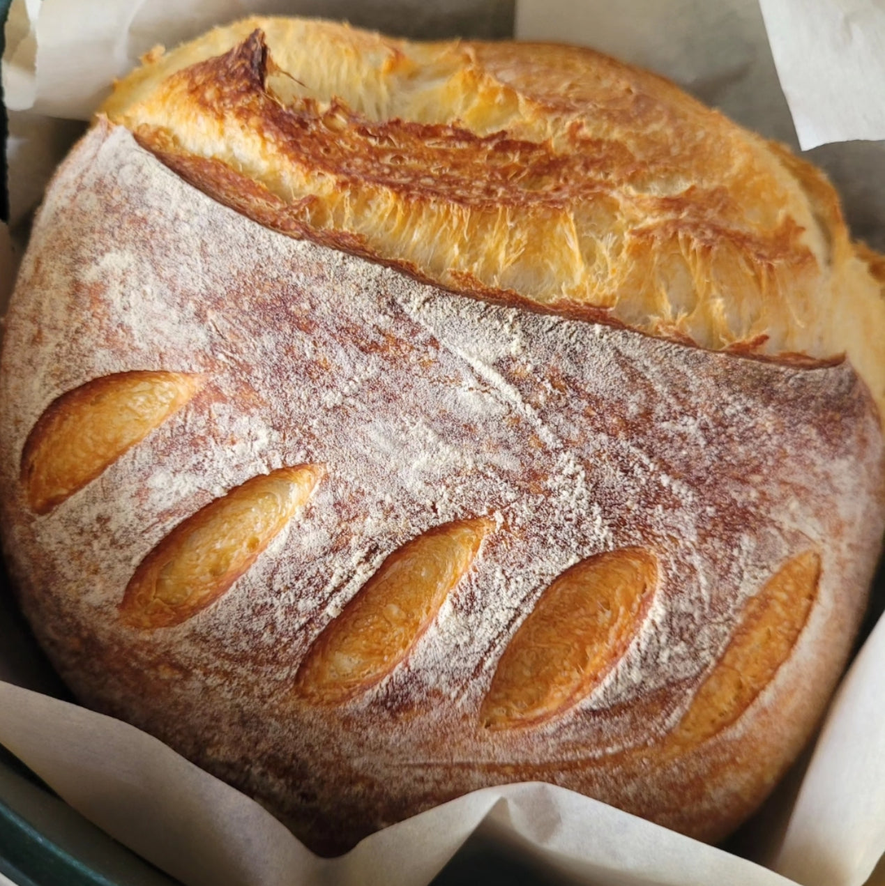 THE SOURDOUGH BRIT