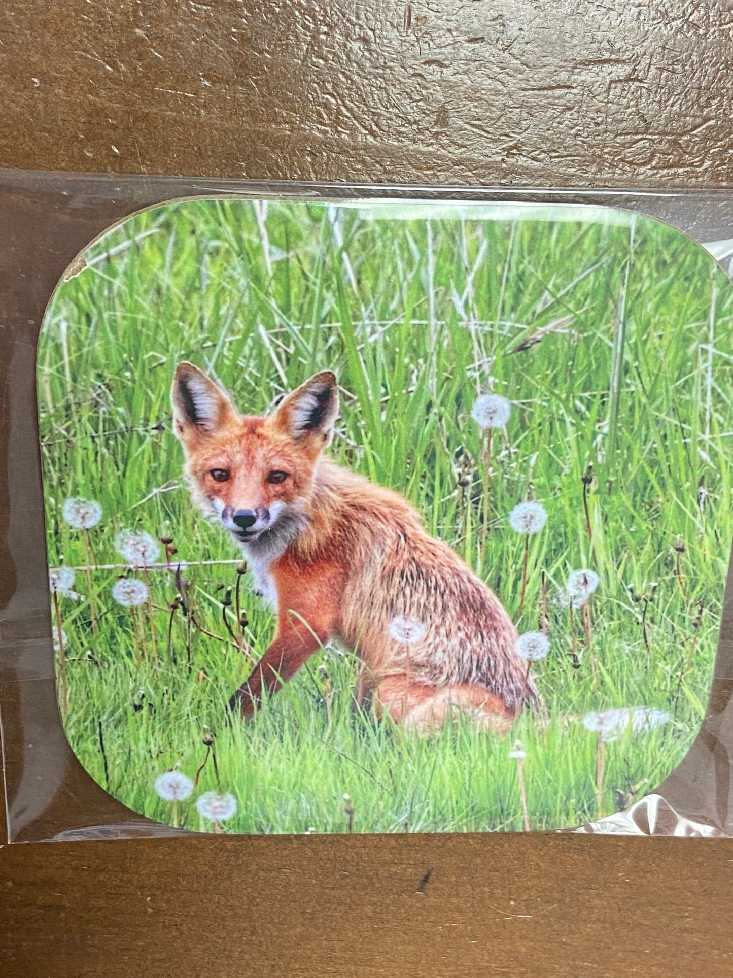 Coasters (4”x4”)