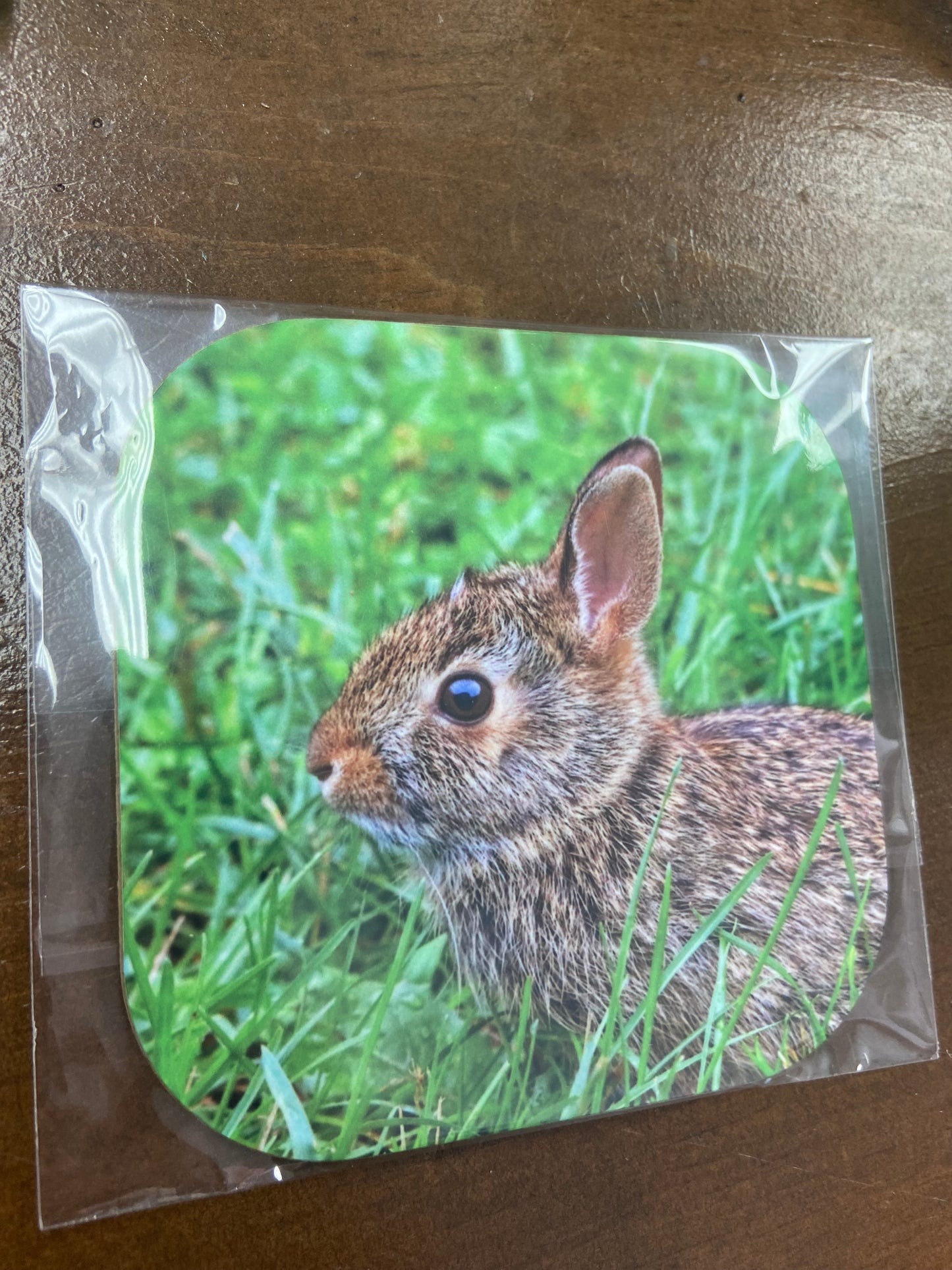 Coasters (4”x4”)