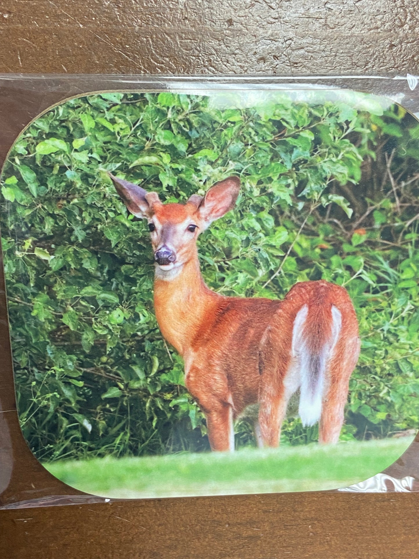 Coasters (4”x4”)