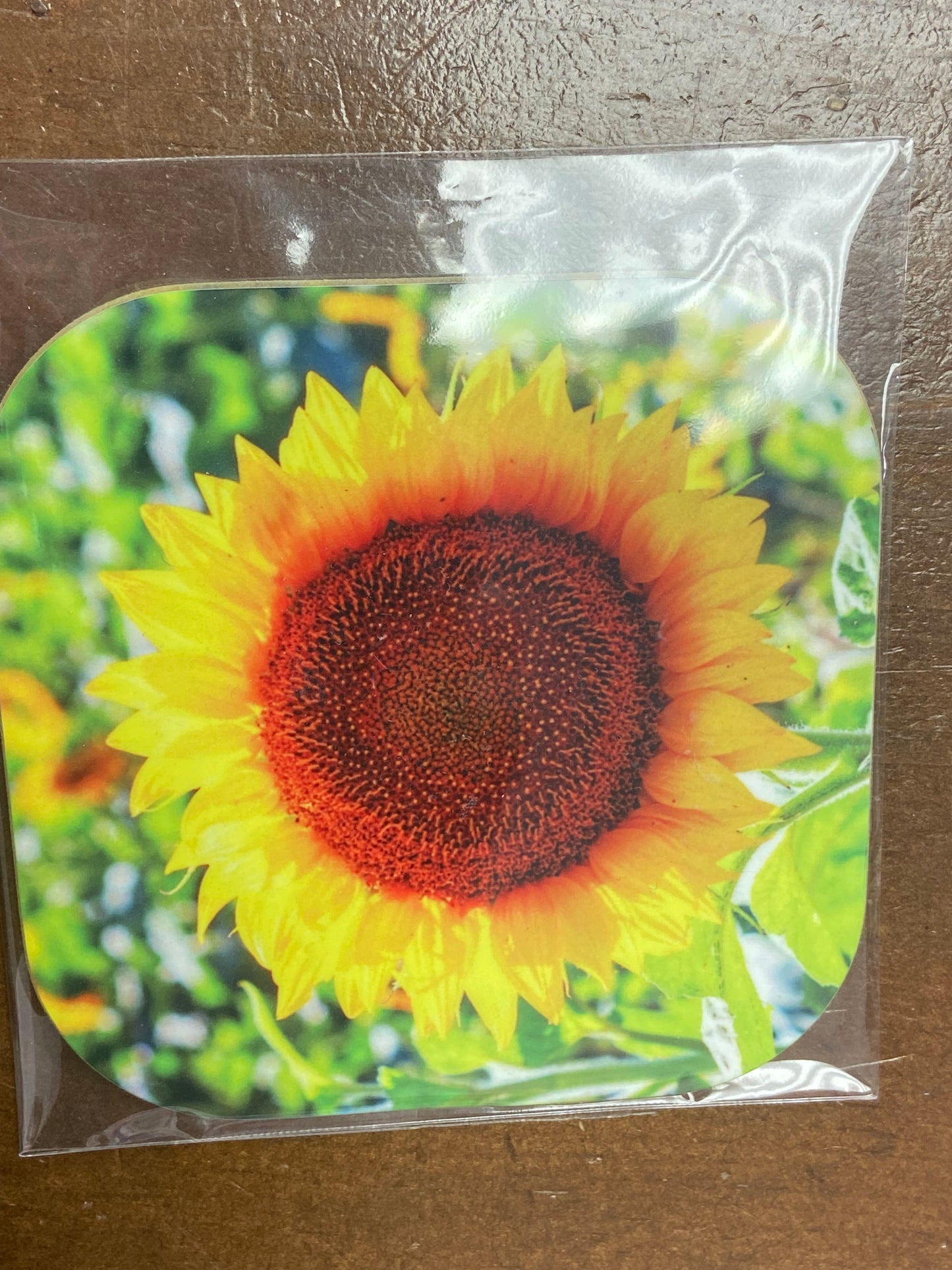 Coasters (4”x4”)