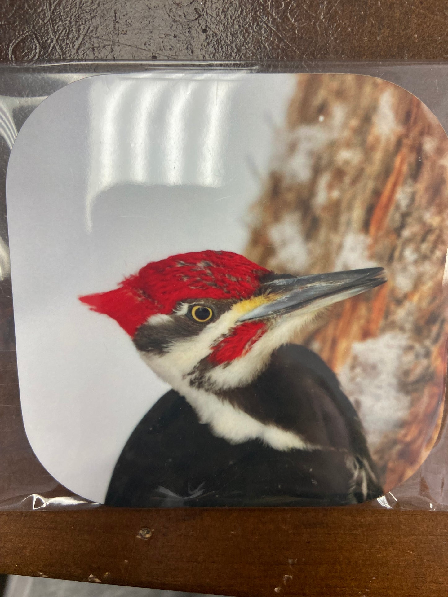 Coasters (4”x4”)