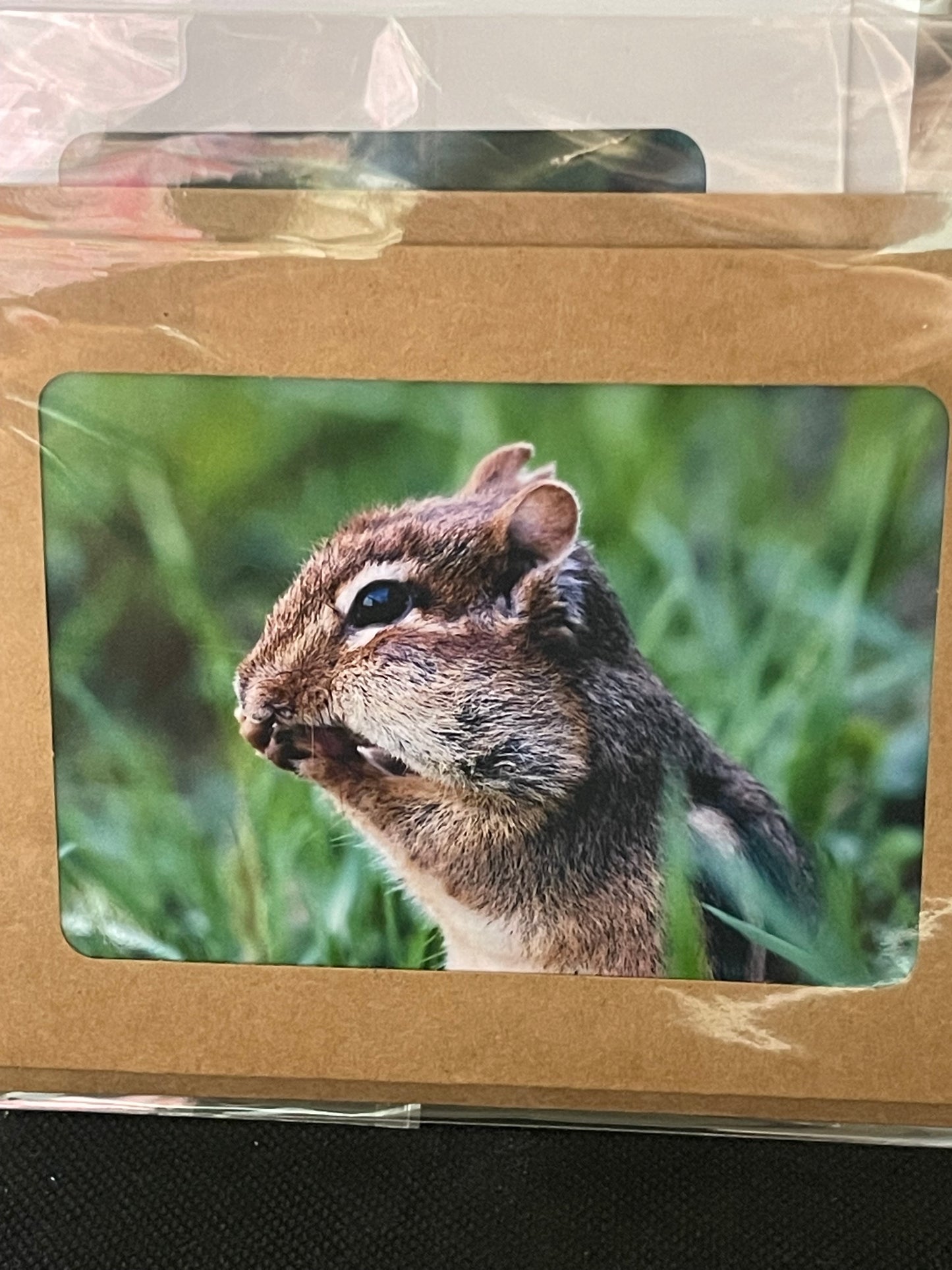 Blank Notecards