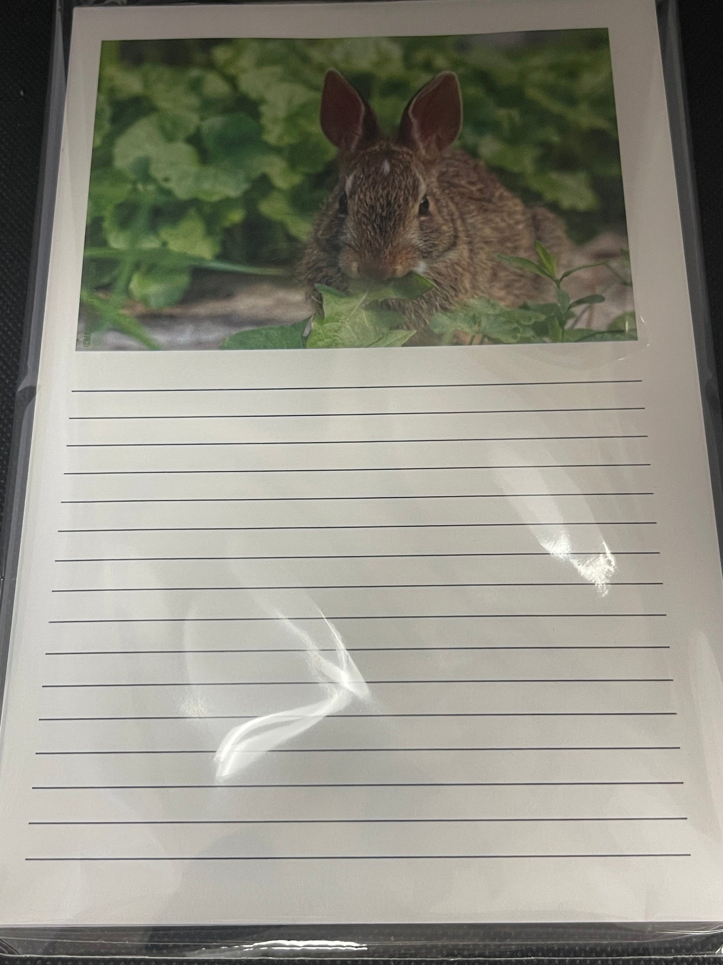 Notepads