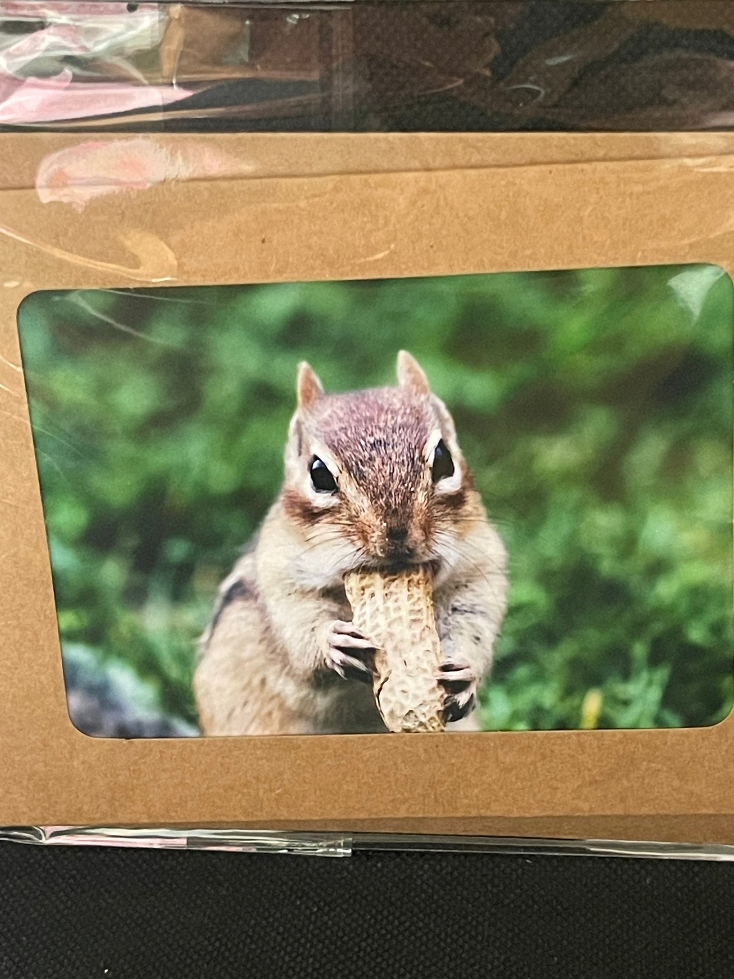 Blank Notecards