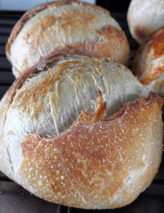 Classic Sourdough (round loaf)