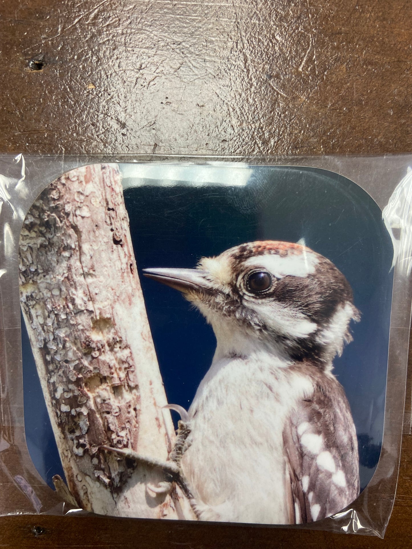 Coasters (4”x4”)