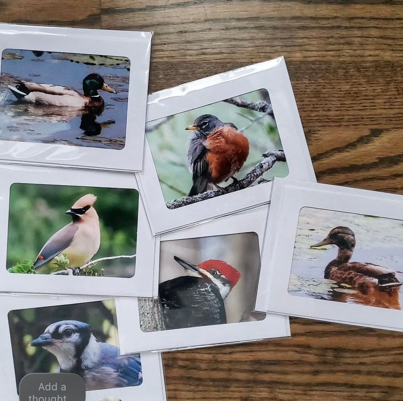 Blank Notecards