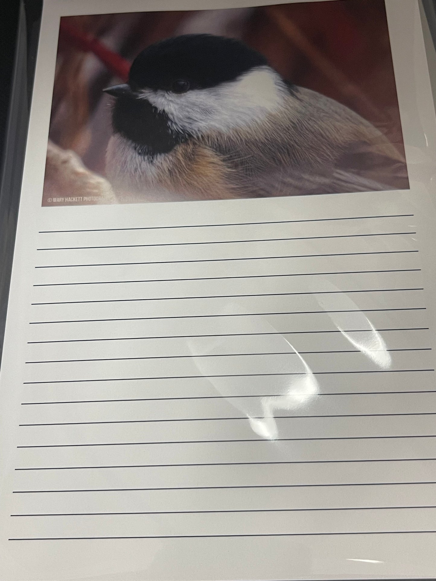 Notepads