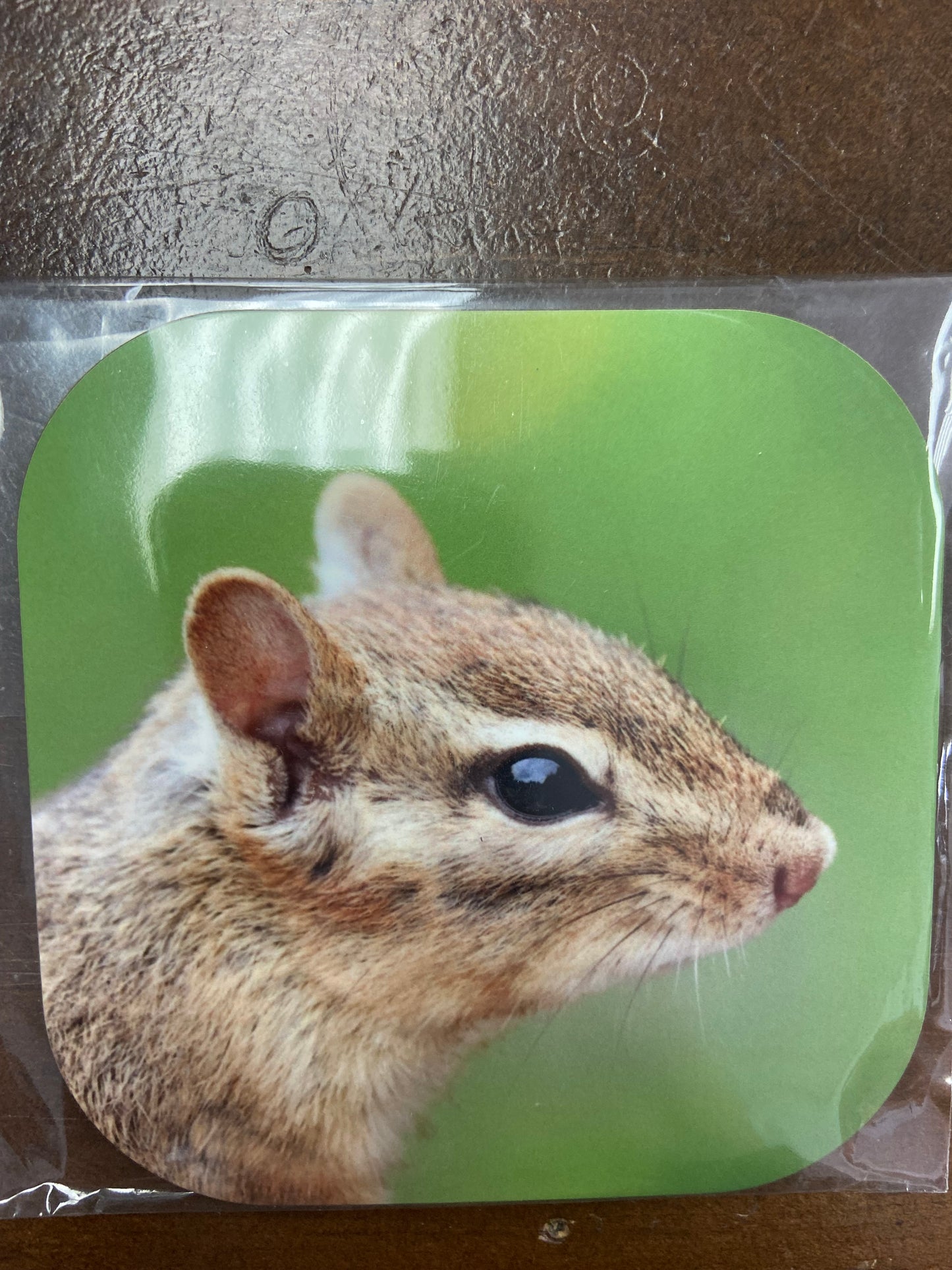 Coasters (4”x4”)