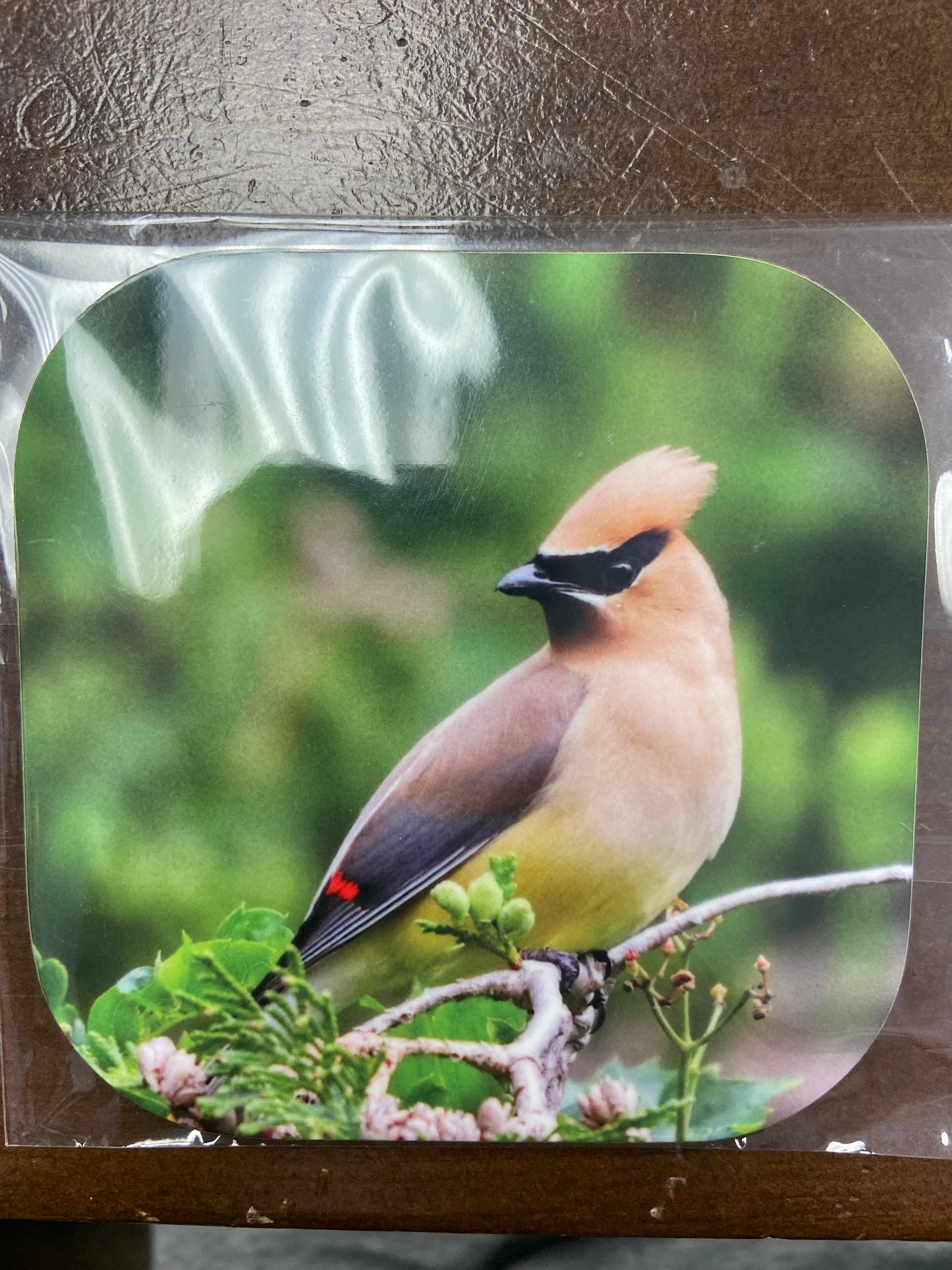 Coasters (4”x4”)