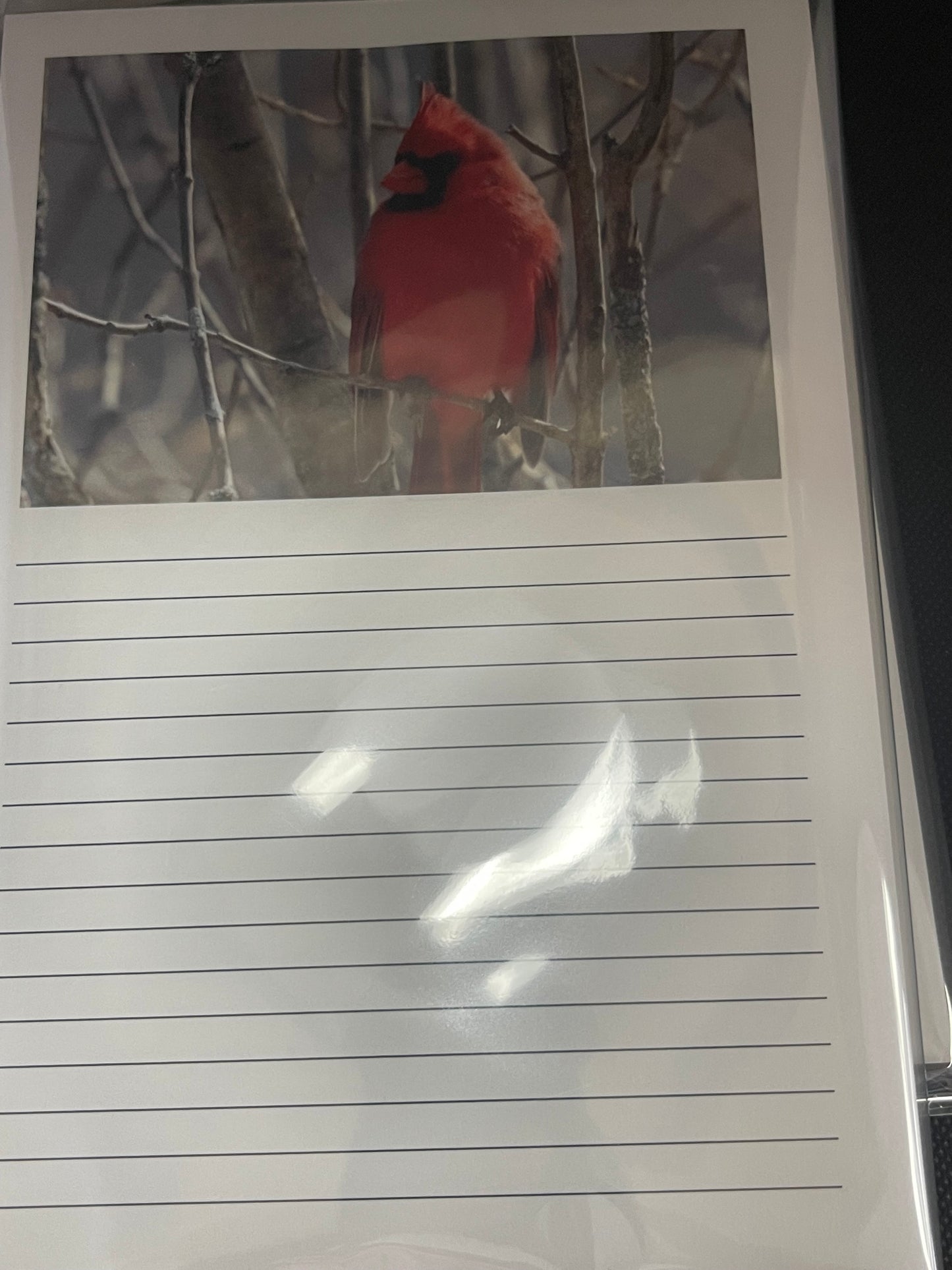 Notepads