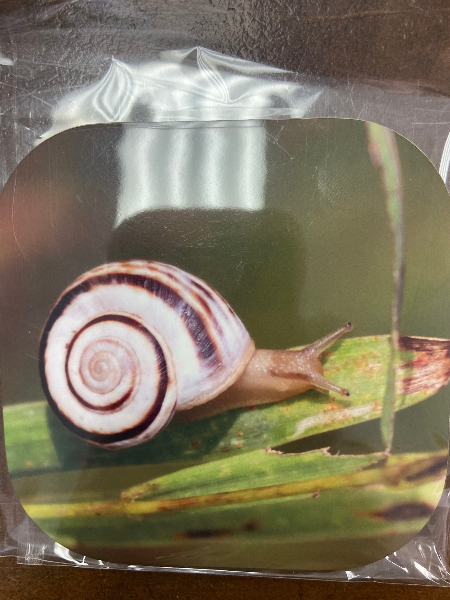 Coasters (4”x4”)
