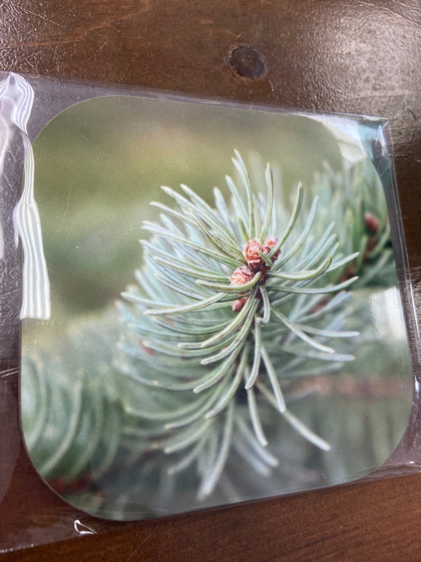 Coasters (4”x4”)