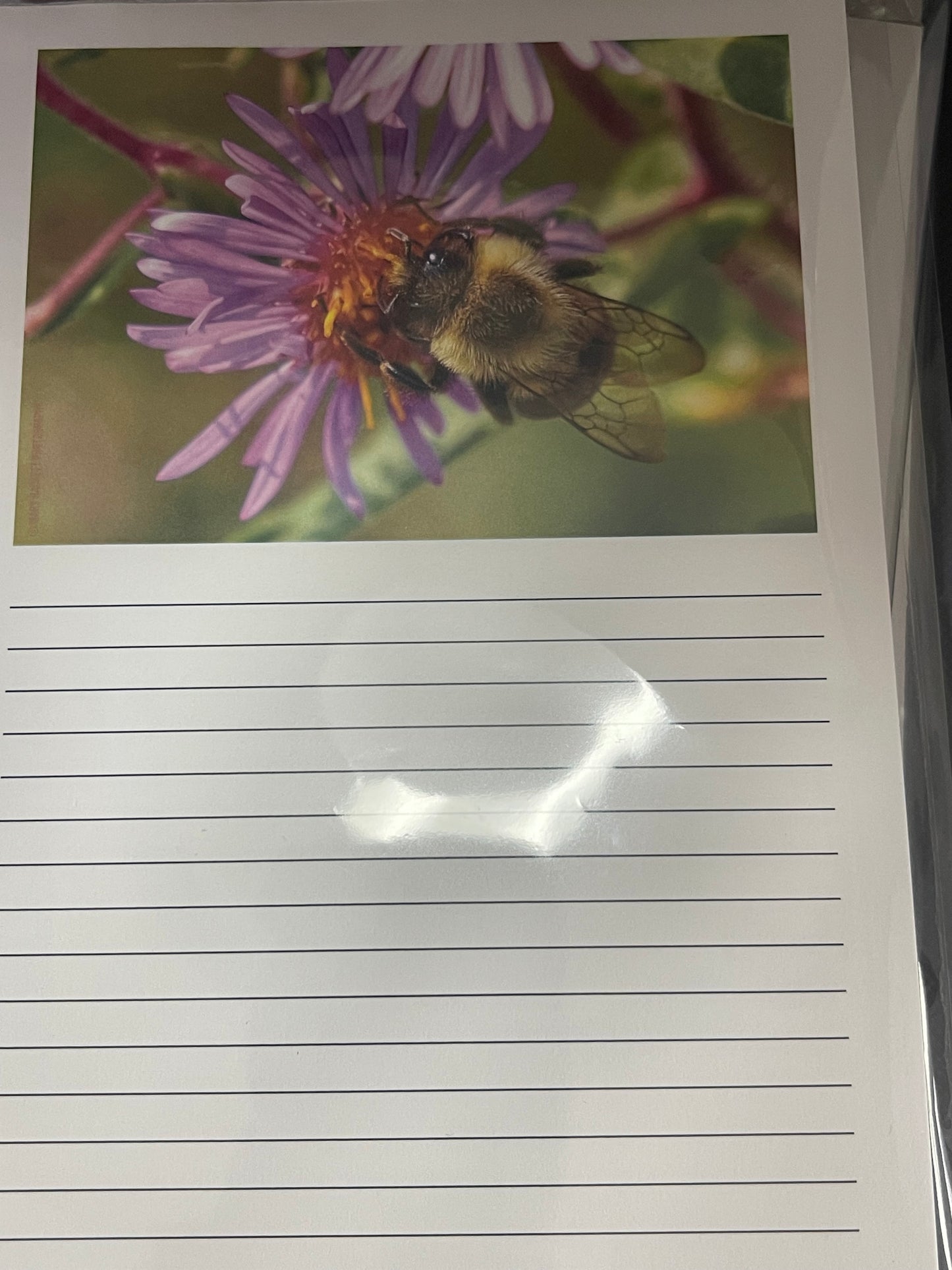 Notepads