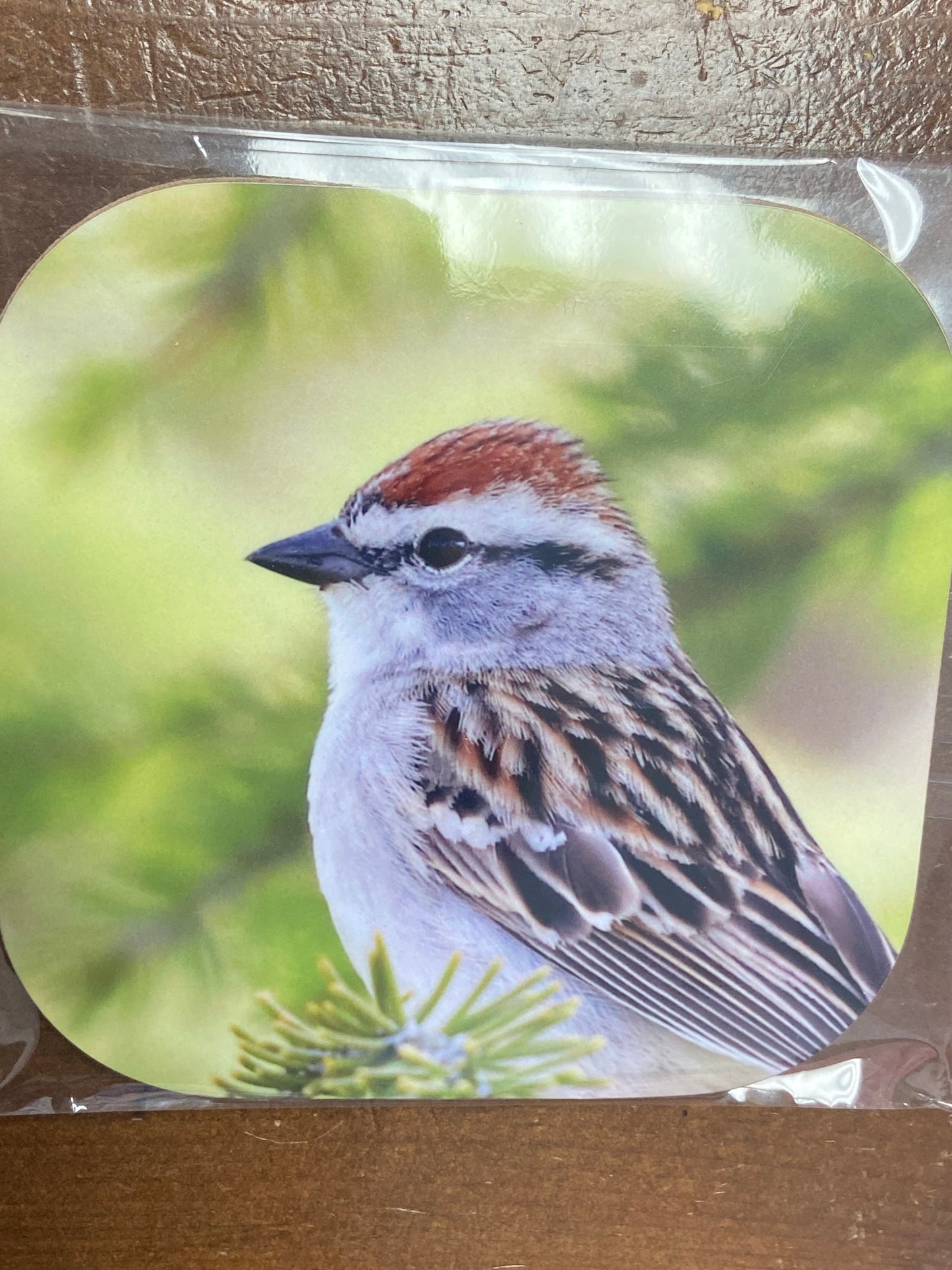 Coasters (4”x4”)