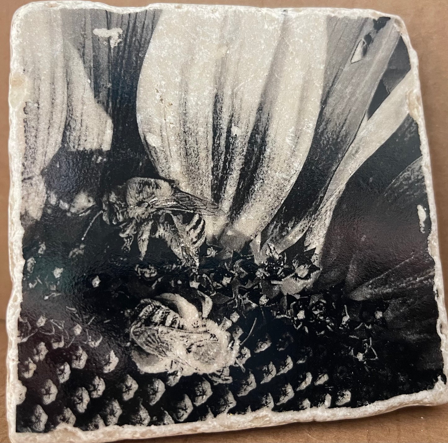 Photo Art Coasters