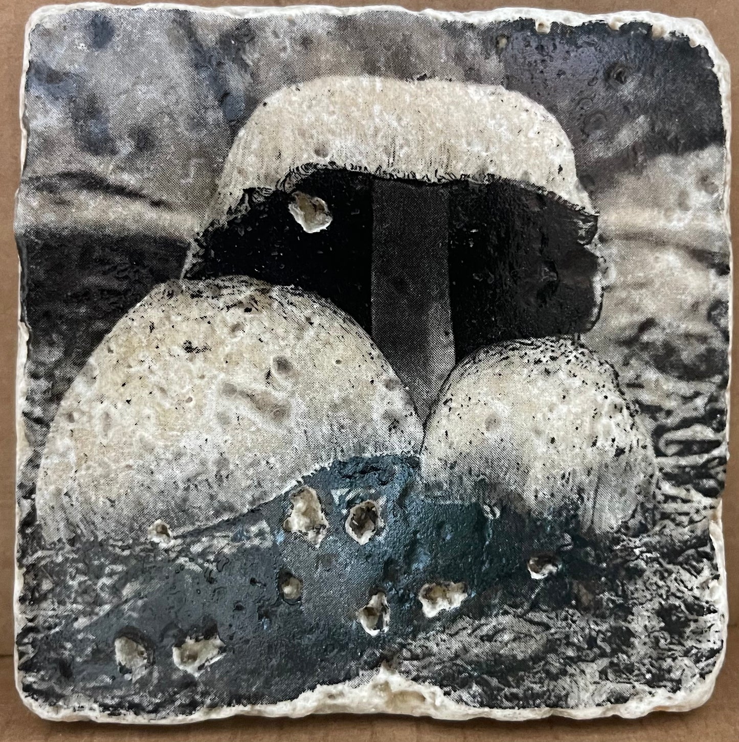 Photo Art Coasters