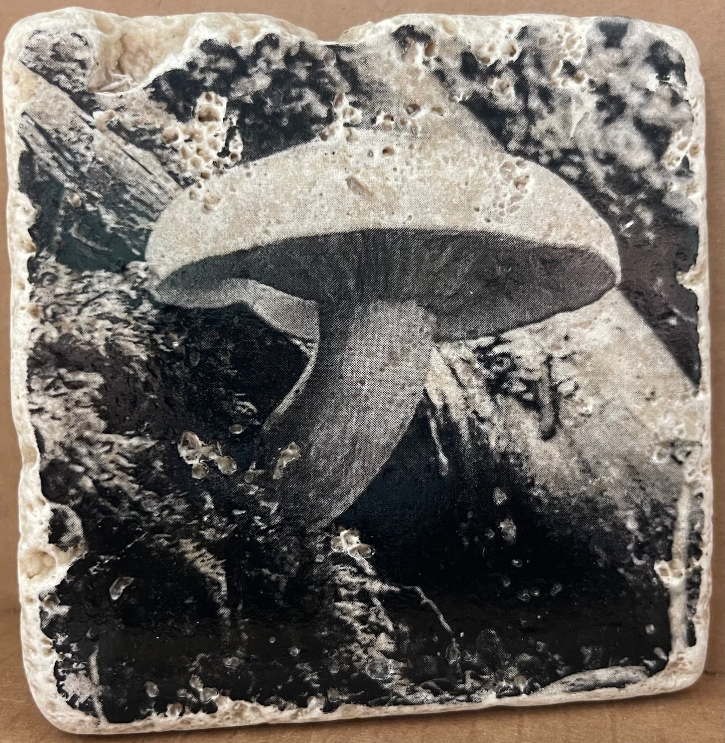 Photo Art Coasters