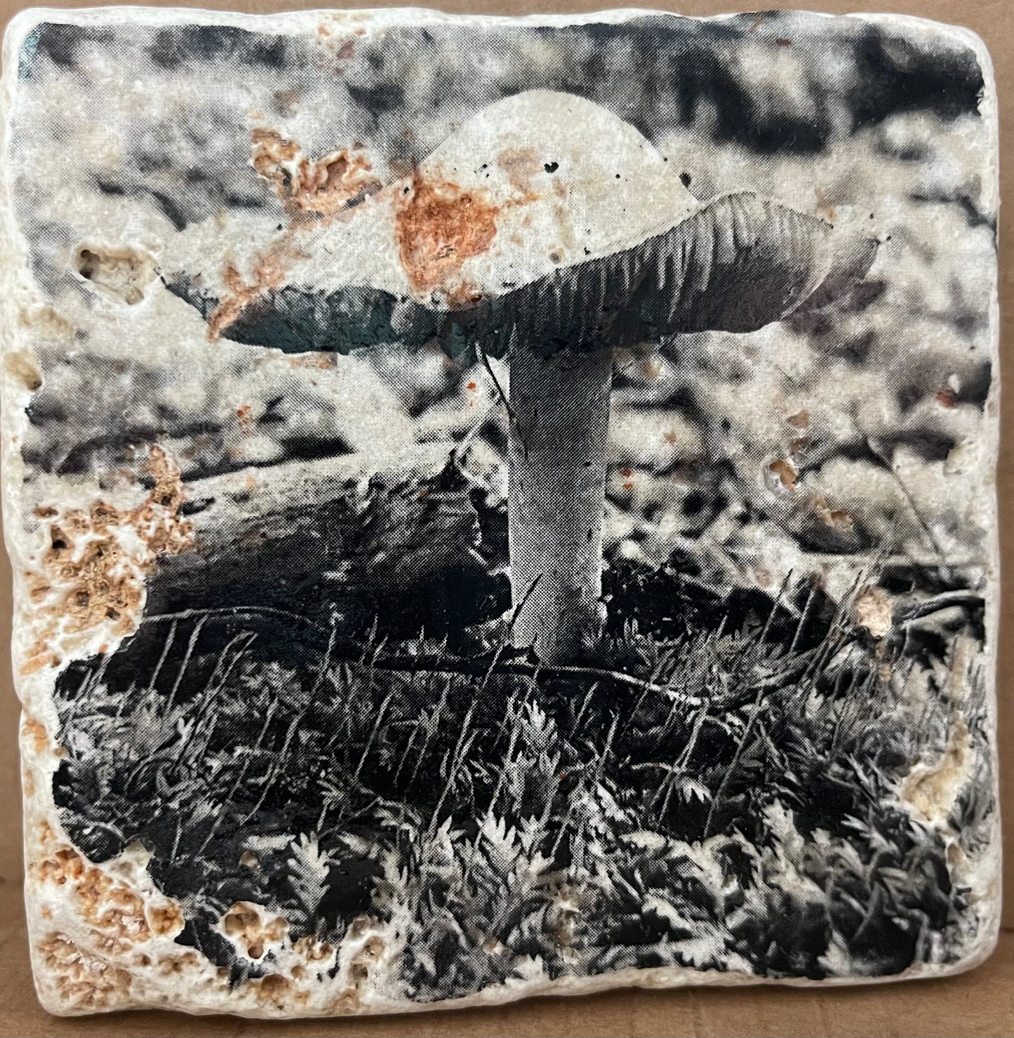 Photo Art Coasters