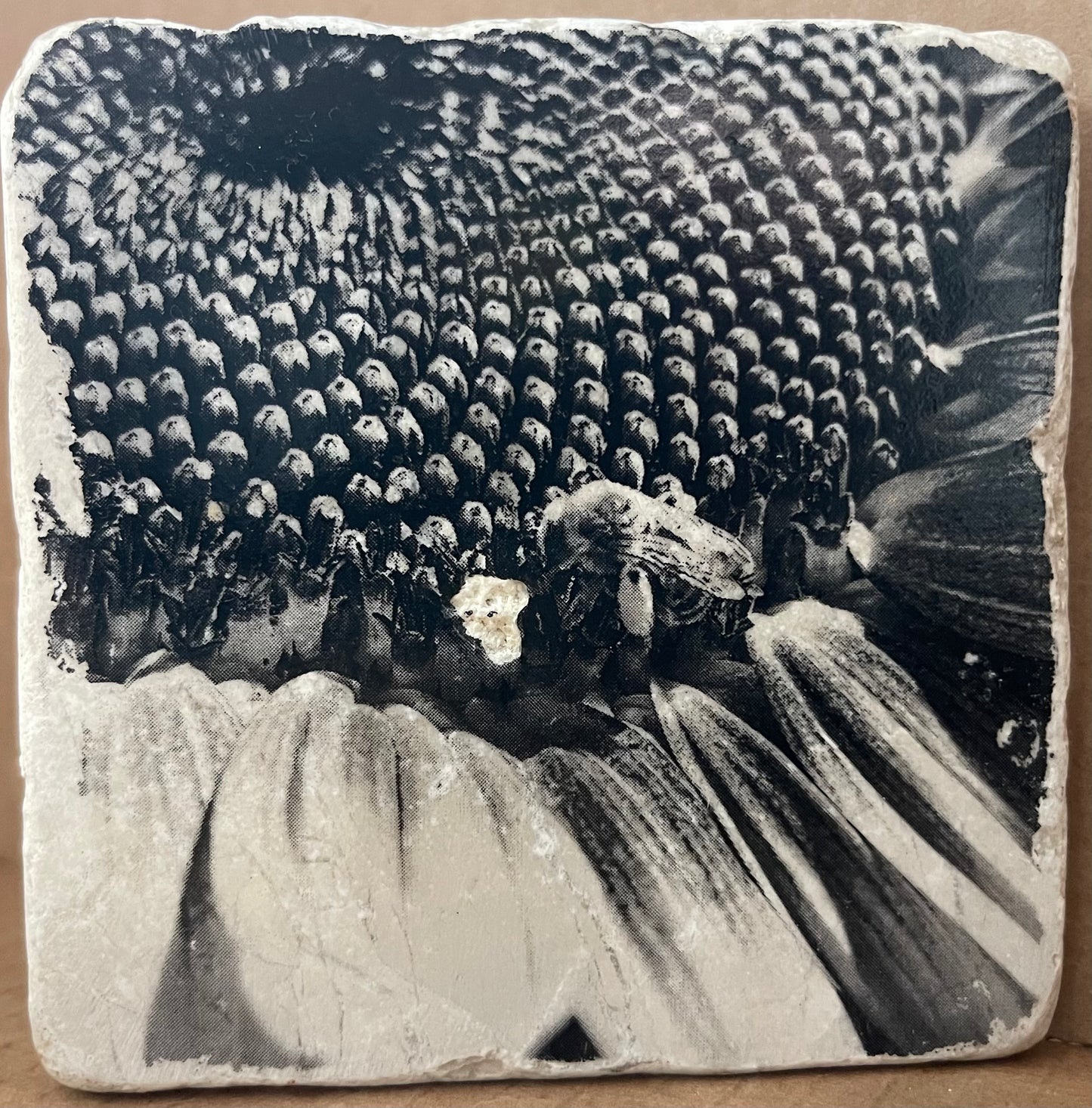 Photo Art Coasters